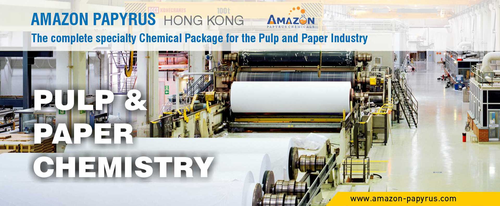 04 Chemical Kinetics Amazon Papyrus Pulp Paper Slide