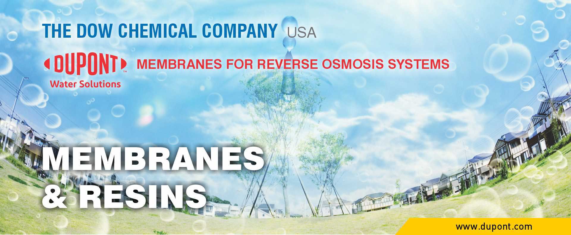 08 Chemical Kinetics DuPont Membranes Resins Slide